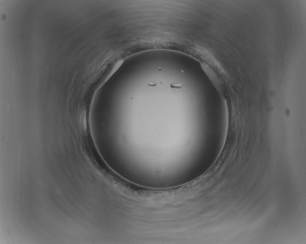 X0000073490021200608071008