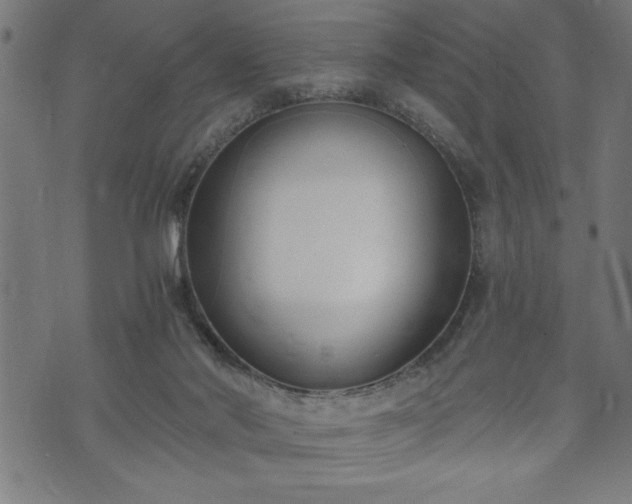 X0000073490022200608071008