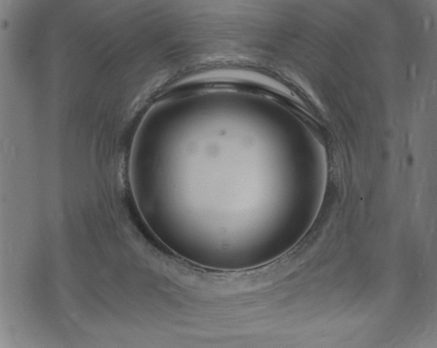 X0000073490023200608071008