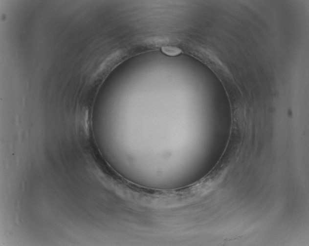 X0000073490024200608071008