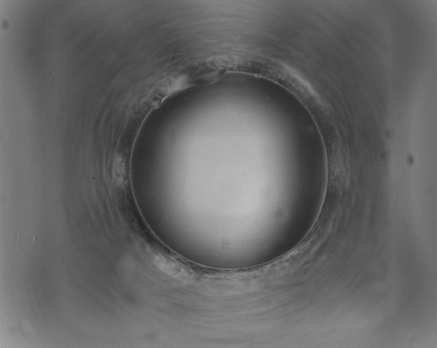 X0000073490025200608071008