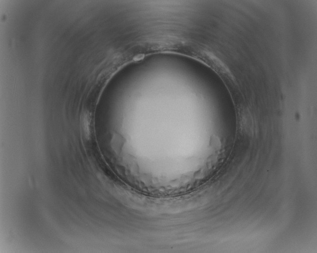 X0000073490026200608071008