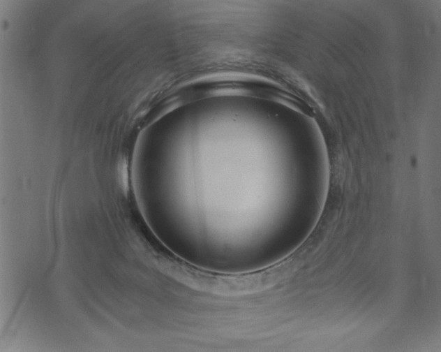 X0000073490027200608071008