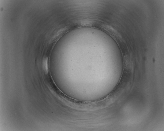 X0000073490028200608071008