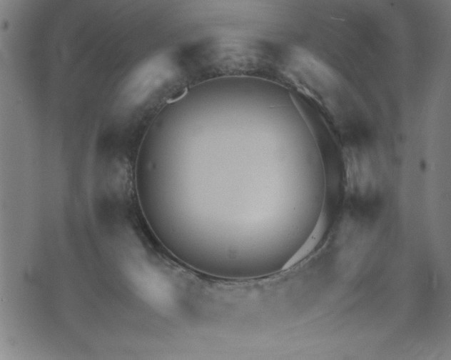 X0000073490029200608071008