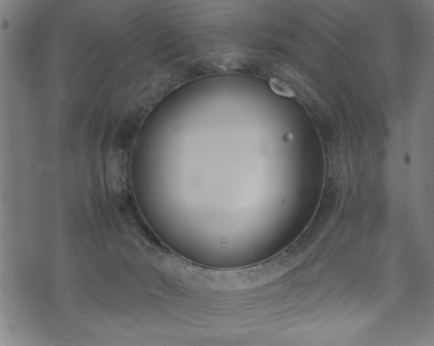 X0000073490030200608071008