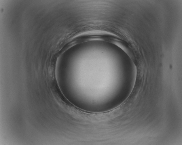 X0000073490031200608071008