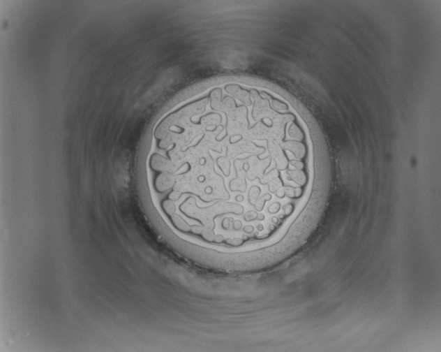 X0000073490032200608071008