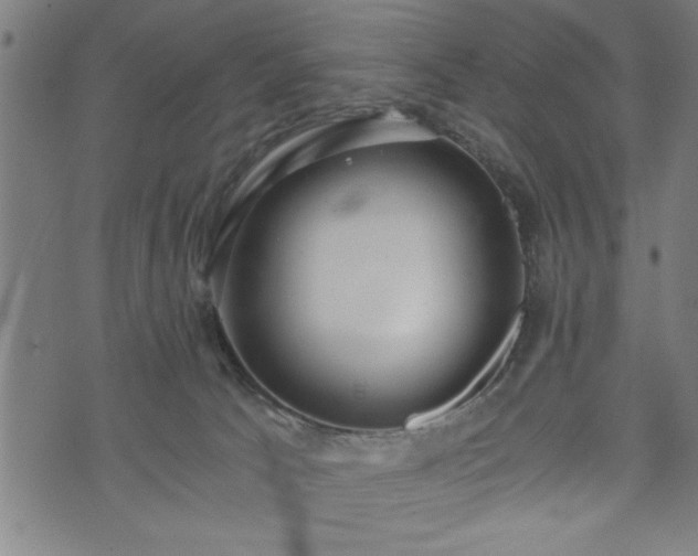 X0000073490033200608071008