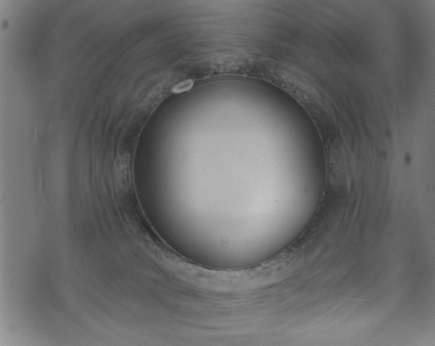 X0000073490034200608071008