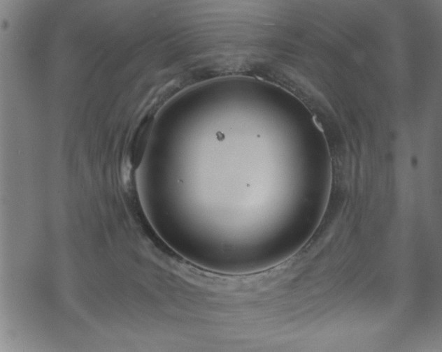 X0000073490035200608071008