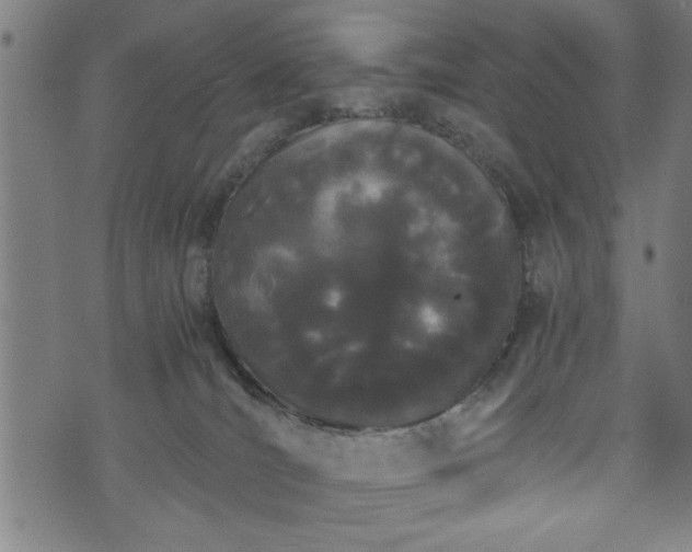 X0000073490036200608071008