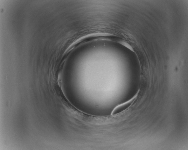 X0000073490037200608071008