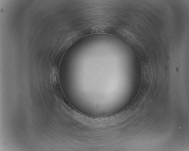 X0000073490038200608071008