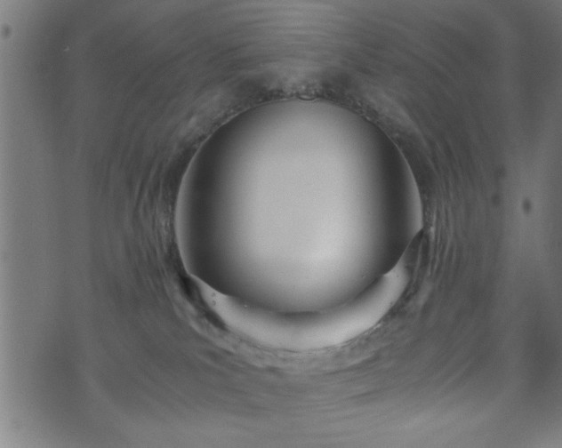 X0000073490039200608071008