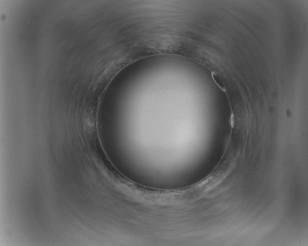 X0000073490040200608071008