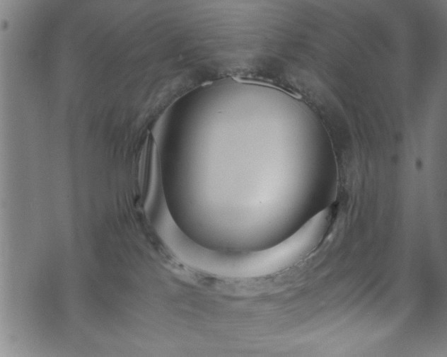 X0000073490041200608071008