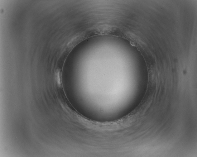 X0000073490042200608071008