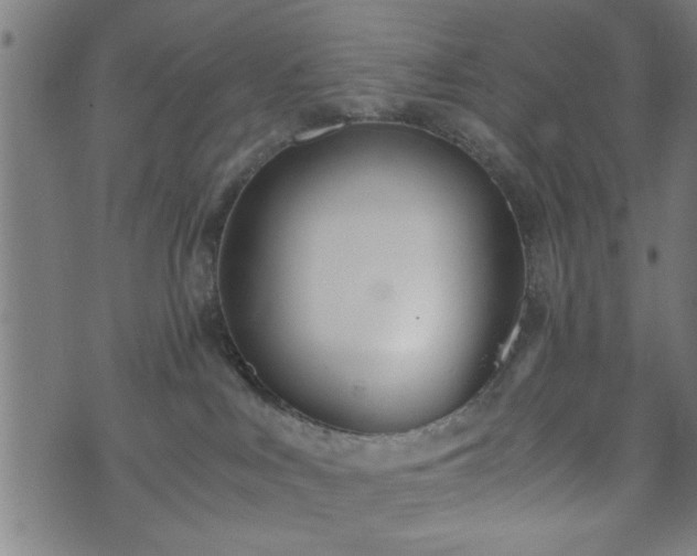 X0000073490043200608071008