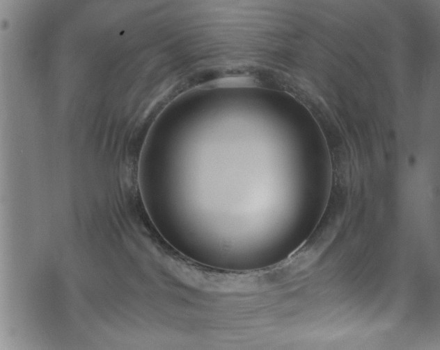 X0000073490044200608071008