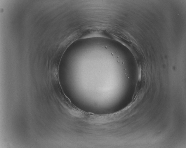 X0000073490045200608071008