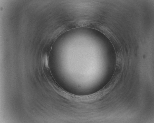 X0000073490046200608071008