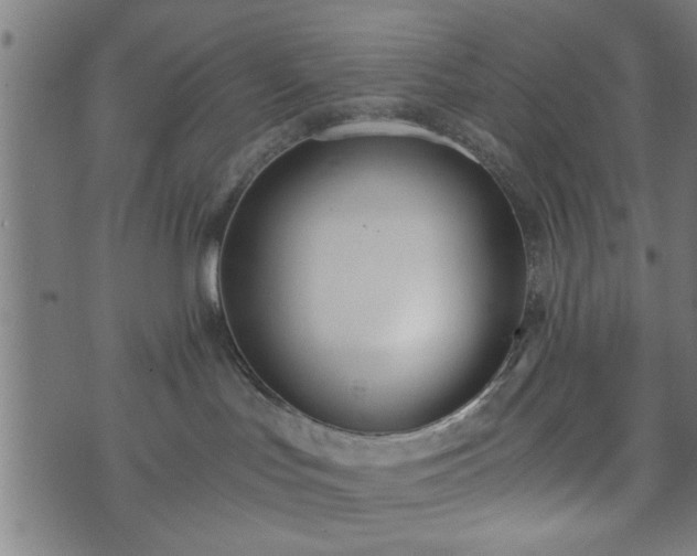 X0000073490047200608071008