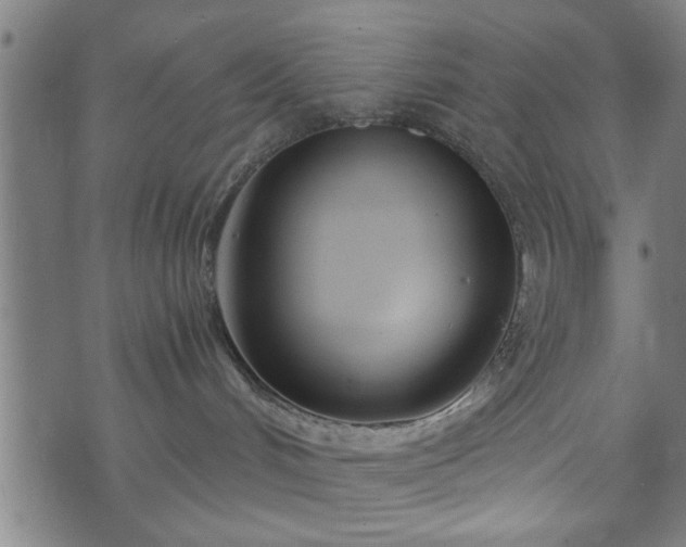 X0000073490048200608071008