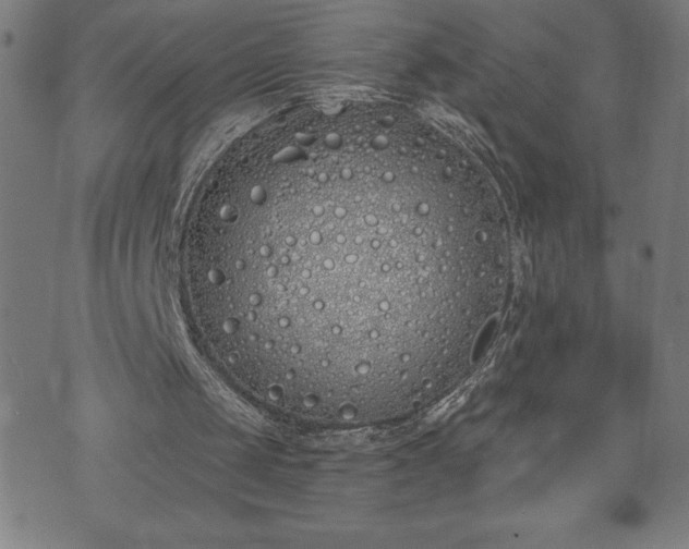 X0000073490049200608071007