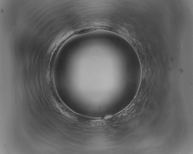 X0000073490050200608071007