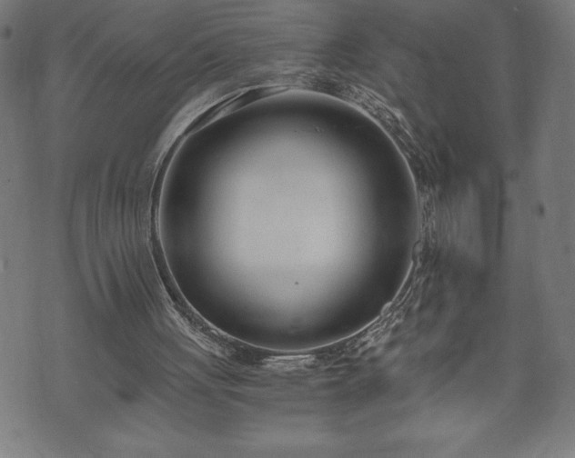 X0000073490051200608071007