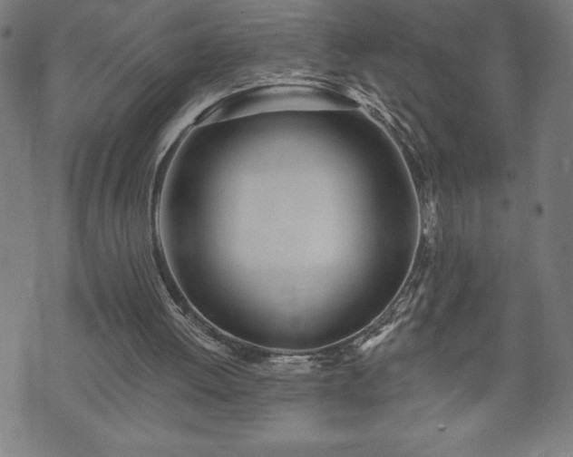 X0000073490052200608071007