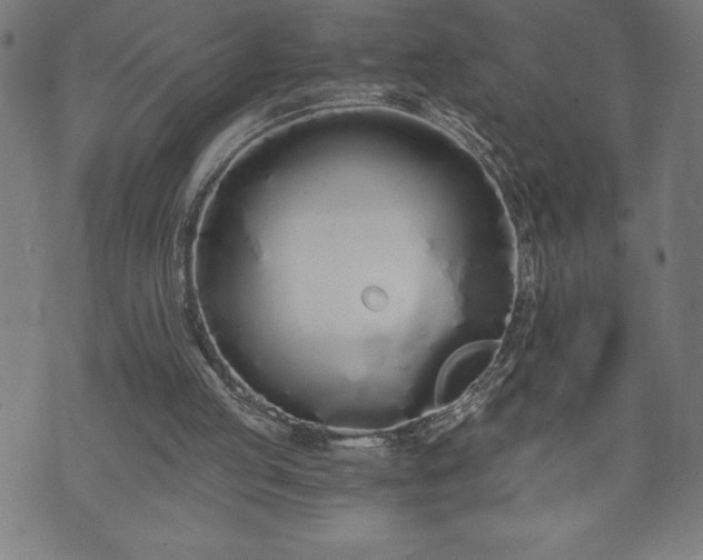 X0000073490053200608071007