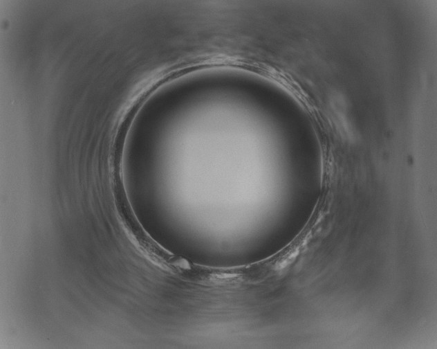 X0000073490055200608071007