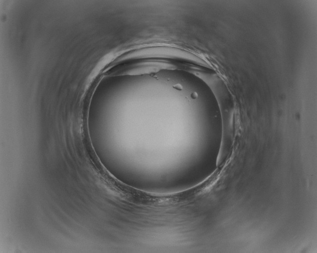 X0000073490056200608071007