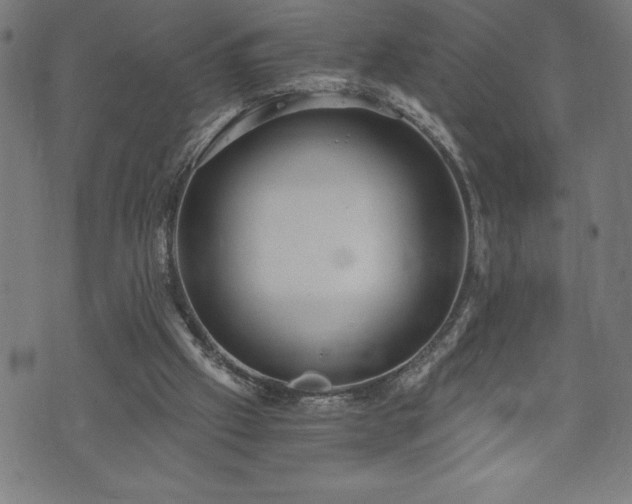 X0000073490057200608071007