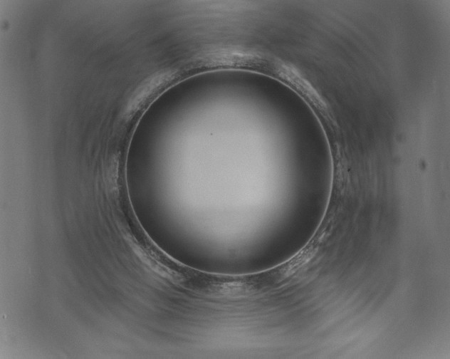 X0000073490058200608071007