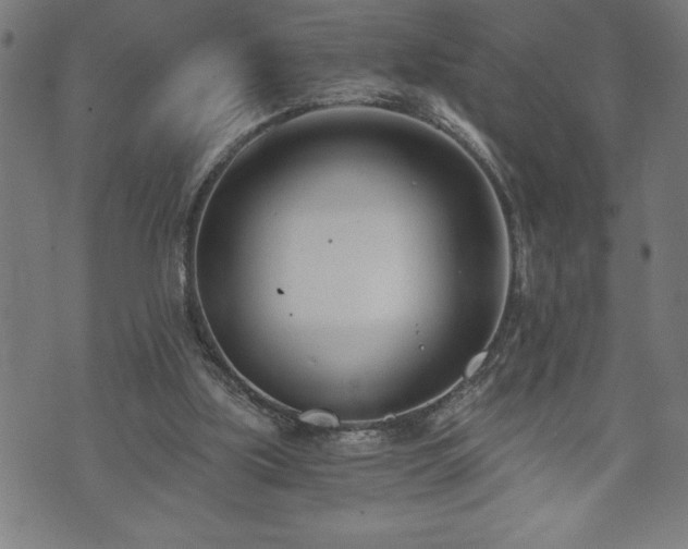 X0000073490059200608071007