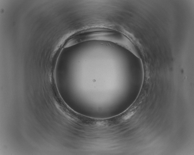 X0000073490060200608071007