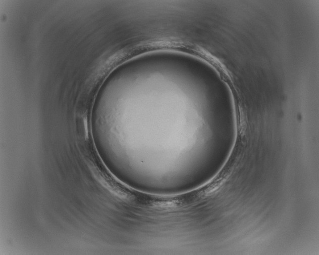 X0000073490061200608071007