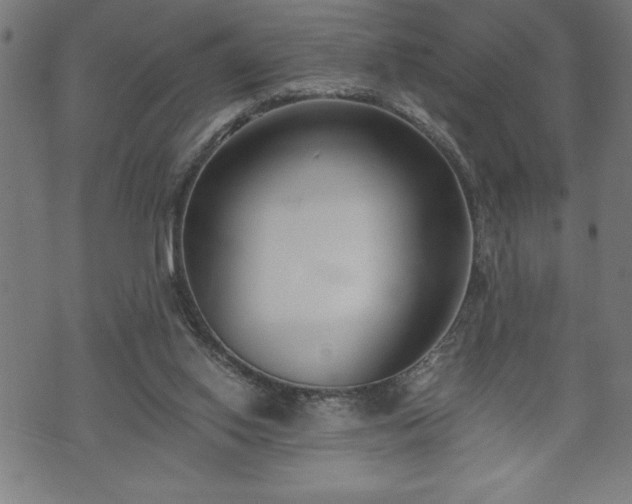 X0000073490062200608071007