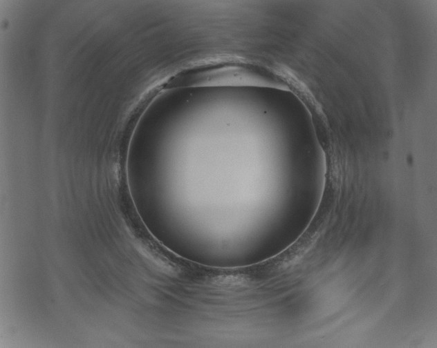 X0000073490063200608071007