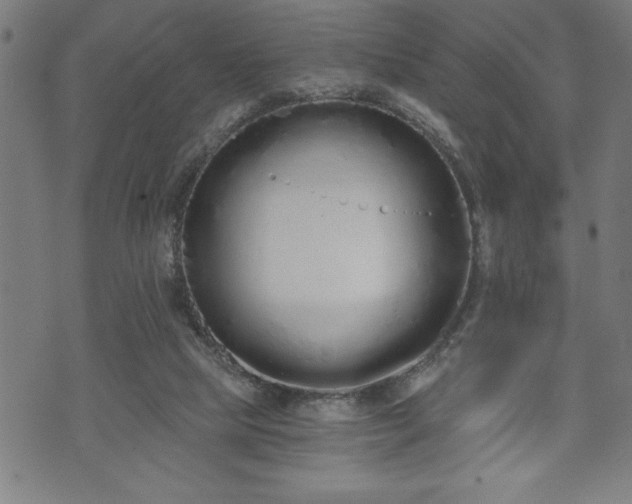 X0000073490065200608071007