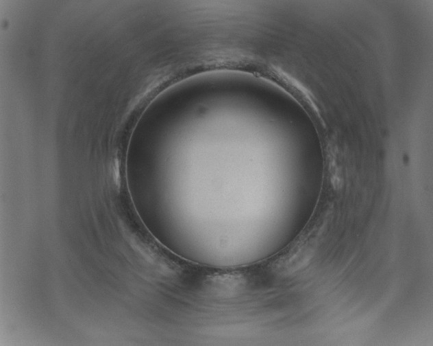 X0000073490067200608071007