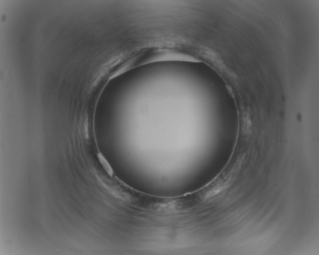 X0000073490068200608071007