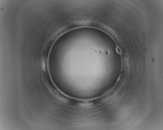 X0000073490069200608071007