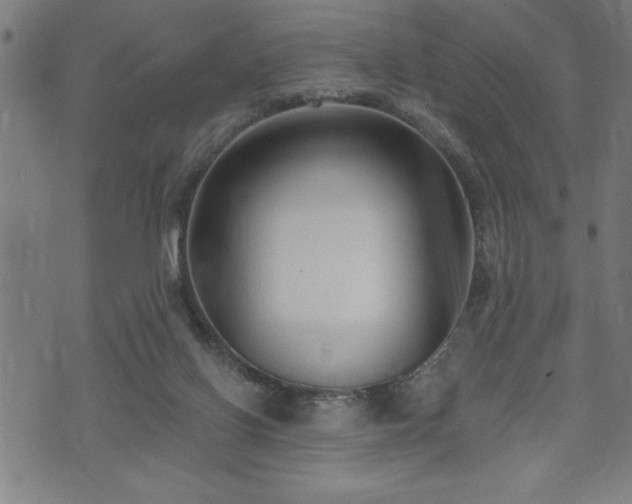 X0000073490070200608071007