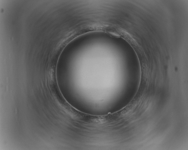 X0000073490071200608071007