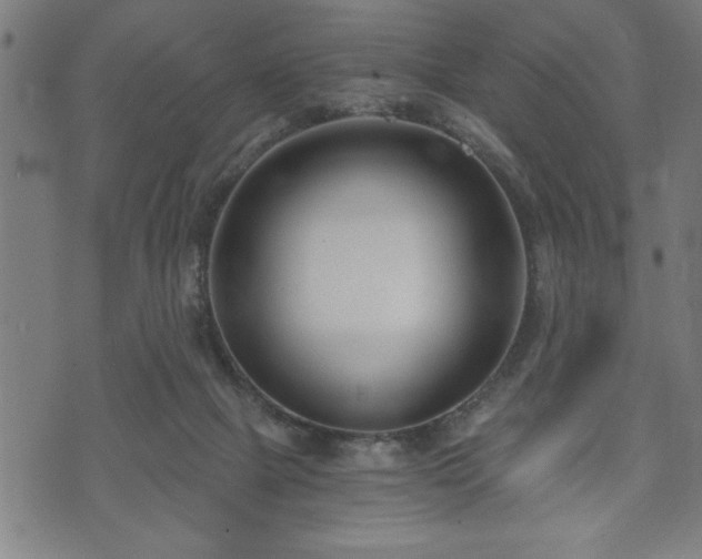 X0000073490073200608071008