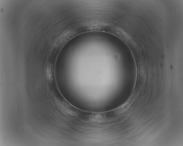 X0000073490074200608071008